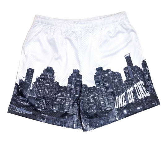 1OF1 Day & Night NYC Shorts