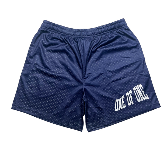 1OF1 Basics Collection - Navy